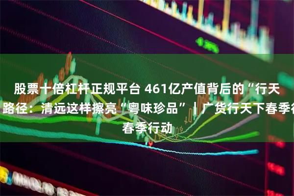 股票十倍杠杆正规平台 461亿产值背后的“行天下”路径：清远这样擦亮“粤味珍品”｜广货行天下春季行动